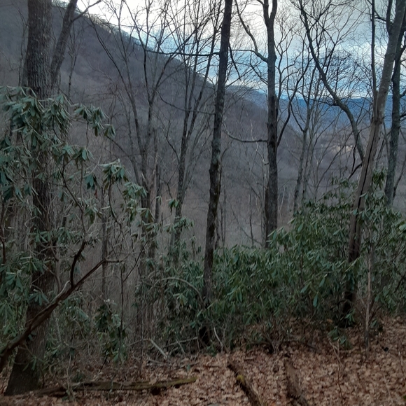 Meet your Posher, Lily - Picture 1 of 1